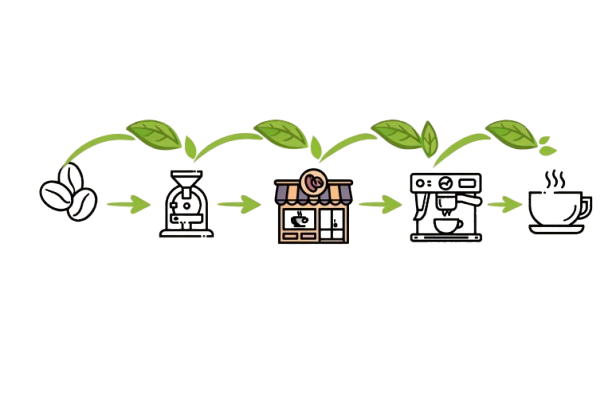 Ciclo do café até chegar a xícara